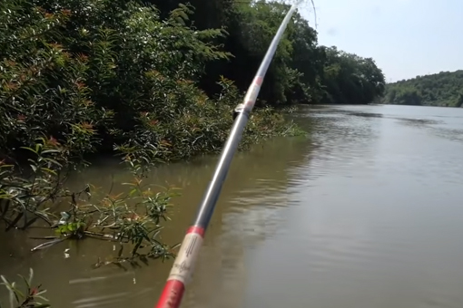 Nhân tố bí ẩn trong bụi cây, câu cá sông Bé mùa khô