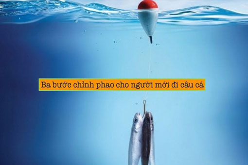 3 bước điều chỉnh phao câu cá