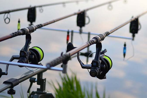 5 Kinh nghiệm lựa chọn cần câu đơn phù hợp