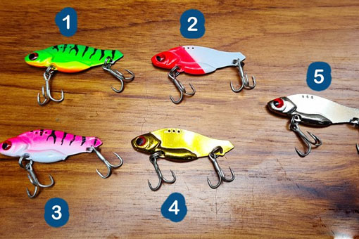 Top 8 Cách câu cá hiệu quả nhất có thể bạn chưa biết