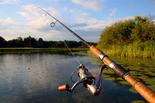 Chia sẻ kinh nghiệm bảo quản cần câu đúng cách