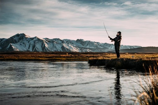 Cách chọn thời điểm câu cá trong ngày và theo mùa