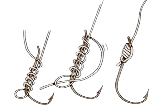 Cách tóm lưỡi câu