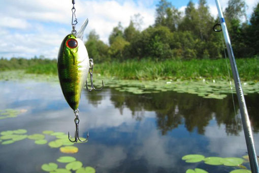 Câu cá lure là gì? Những kỹ thuật câu cá lure cơ bản