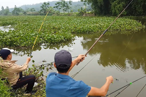Câu cá sông cần lưu ý những điều này