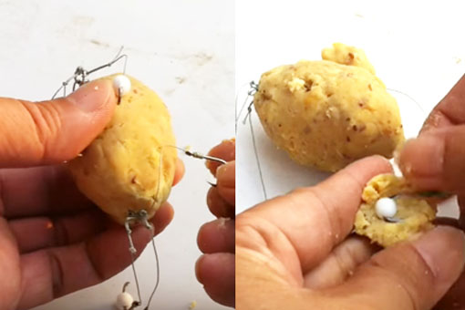 Kinh nghiệm câu cá đạt hiệu quả