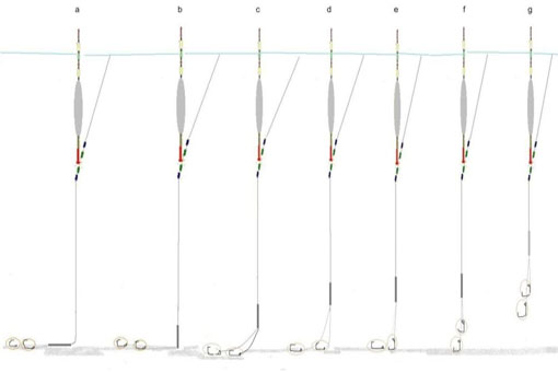 Thế nào là câu lụt và câu nhạy trong câu đơn, câu đài?
