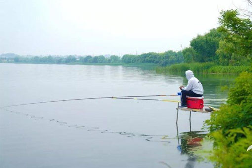 4 nguyên tắc chọn lựa vị trí ngồi câu cá